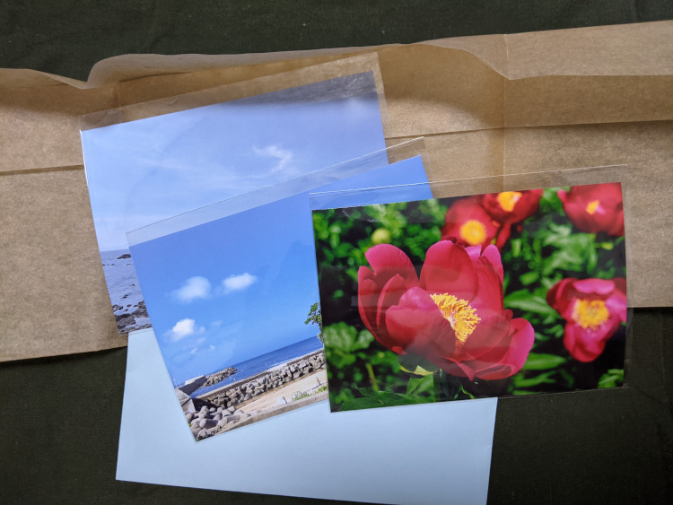 百合お手紙に封入されている写真の一例（赤い花の写真、空と海の写真）