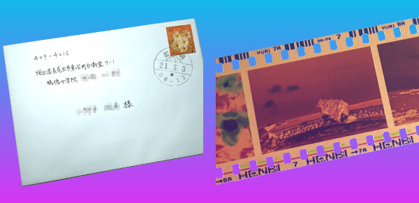 女学生からのお手紙セットのサンプル
